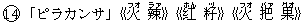 14「ピラカンサ」《火(フオ) 辣(ラァ)》《?(ホん) ?(ヅ)》《火(フオ) 把(バァ) 果(グオ)》